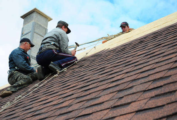 Best Residential Roofing Contractor  in Wolverine Lake, MI