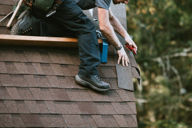 Best Roof Gutter Cleaning  in Wolverine Lake, MI