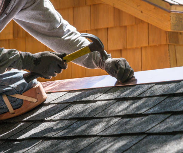 Best Roof Gutter Cleaning  in Wolverine Lake, MI